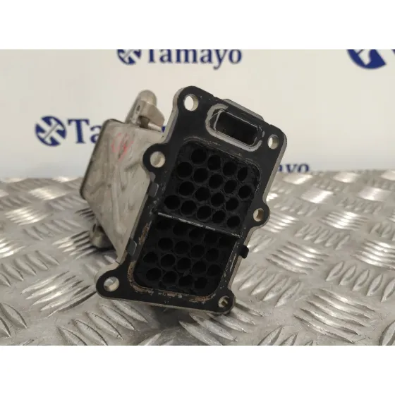 Enfriador Egr para Volkswagen Golf Vi Variant (Aj5)