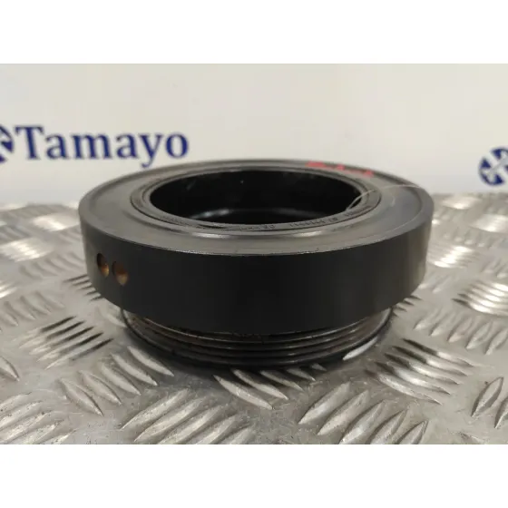 Polea Ciguenal para Bmw Serie 5 Berlina (E60)