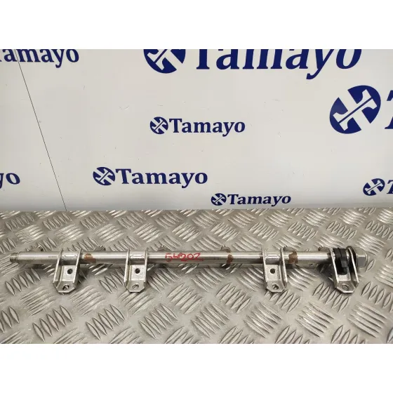 Rampa Inyectora para Bmw Serie 5 Berlina (E60)