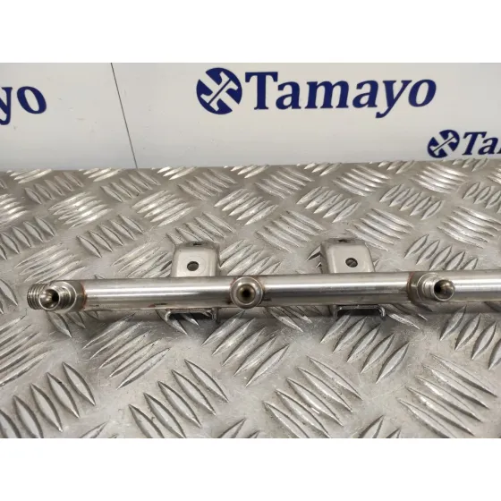 Rampa Inyectora para Bmw Serie 5 Berlina (E60)