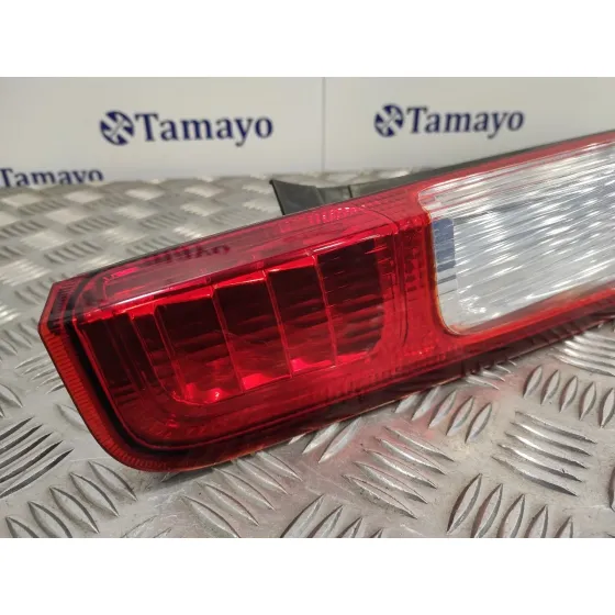 Piloto Trasero Izquierdo para Ford Focus Berlina (Cap)