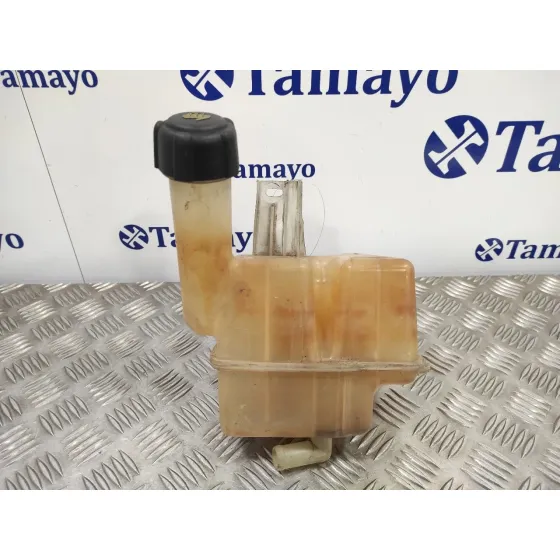 Deposito Expansion para Renault Laguna Ii (Bg0)