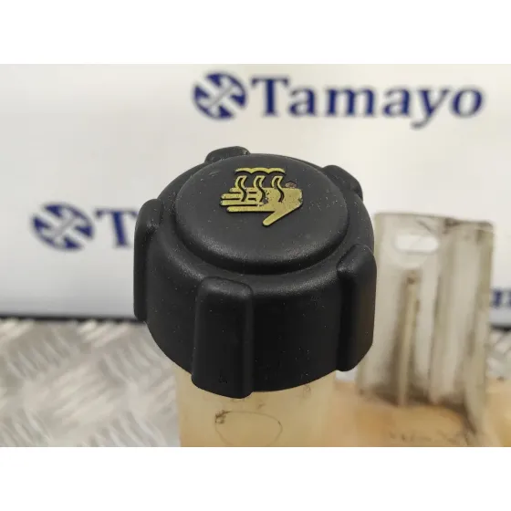 Deposito Expansion para Renault Laguna Ii (Bg0)