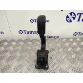 Pedal Acelerador para Mercedes-Benz Sprinterii Caja Cerrada (Desde 01.06)