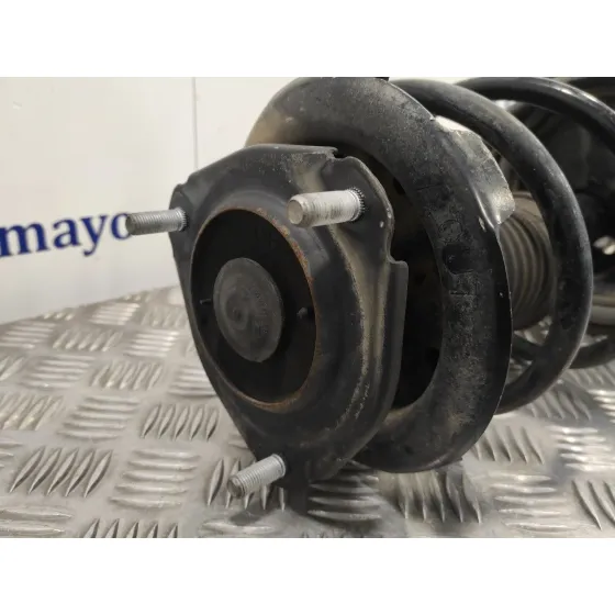 Amortiguador Delantero Izquierdo para Toyota Rav 4 (A2)