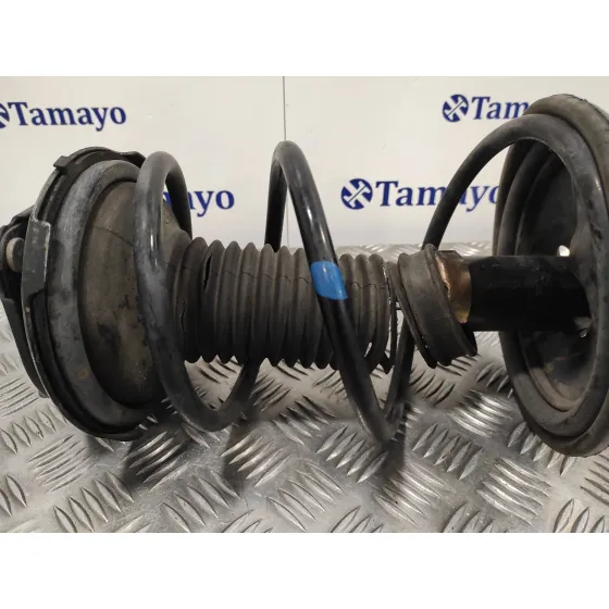 Amortiguador Delantero Izquierdo para Toyota Rav 4 (A2)