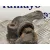 Brazo Suspension Inferior Delantero Izquierdo para Fiat Scudo Combi (272)