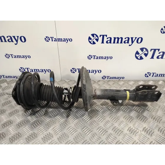 Amortiguador Delantero Derecho para Toyota Rav 4 (A2)
