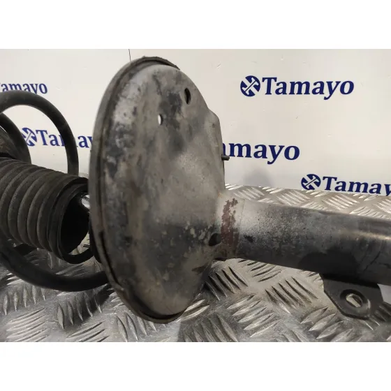 Amortiguador Delantero Derecho para Toyota Rav 4 (A2)