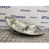 Faro Derecho para Peugeot 407