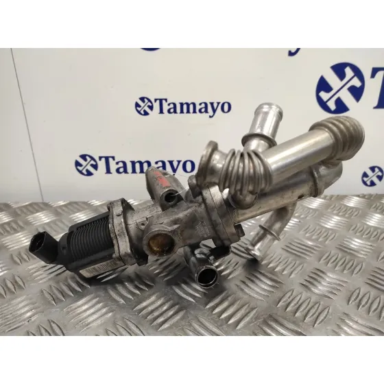 Valvula Egr para Fiat Grande Punto (199)
