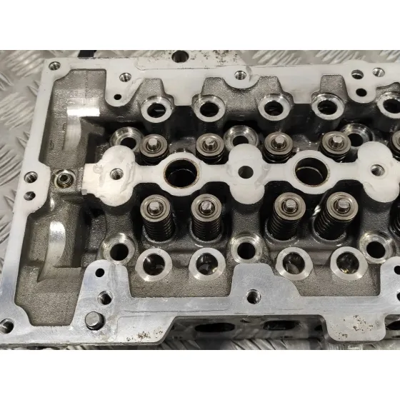 Culata para Fiat Grande Punto (199)