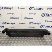 Intercooler para Renault Laguna Ii (Bg0)