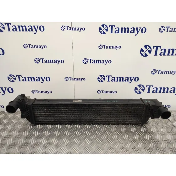 Intercooler para Renault Laguna Ii (Bg0)