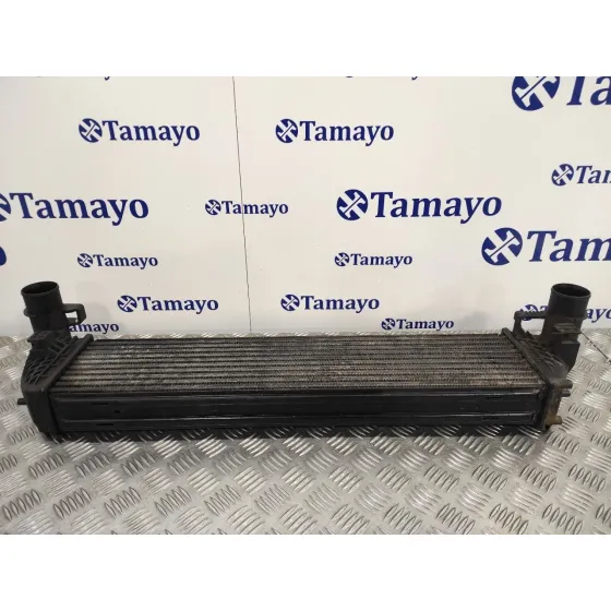 Intercooler para Renault Laguna Ii (Bg0)