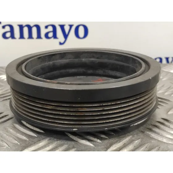 Polea Ciguenal para Audi A3 (8P)