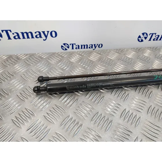 Amortiguadores Maletero / Porton para Seat Toledo (5P2)