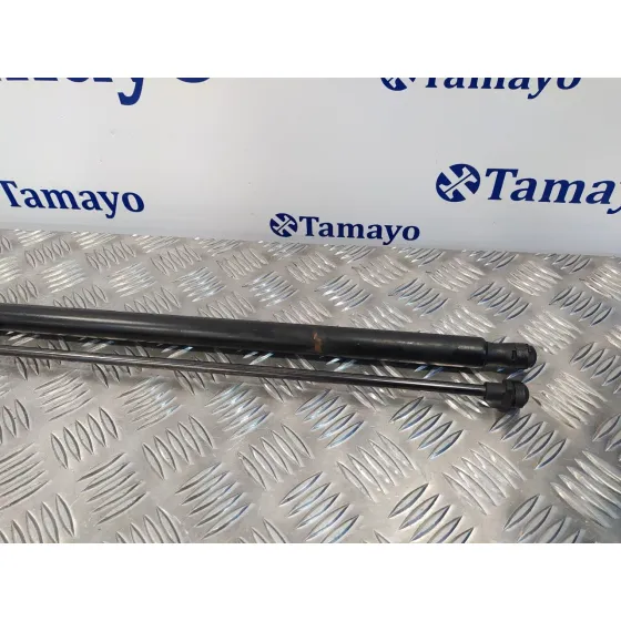 Amortiguadores Maletero / Porton para Seat Toledo (5P2)