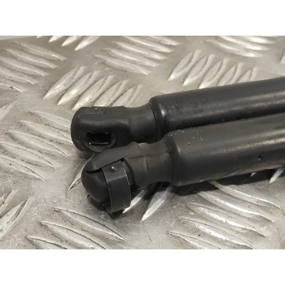 Amortiguadores Maletero / Porton para Ford S-Max (Ca1)