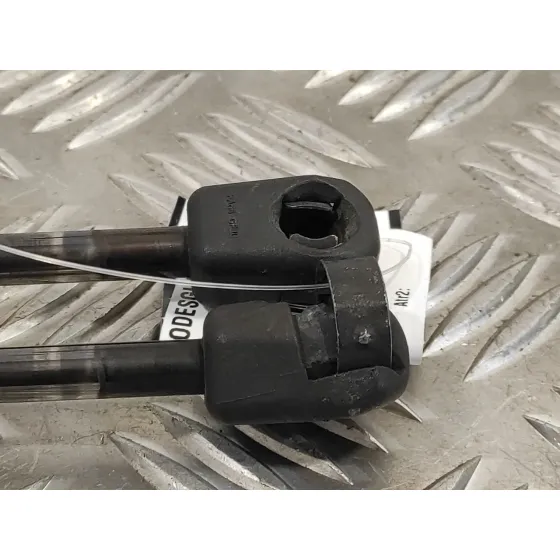 Amortiguadores Maletero / Porton para Ford S-Max (Ca1)
