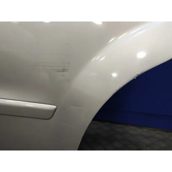 Puerta Trasera Izquierda para Ford S-Max (Ca1)