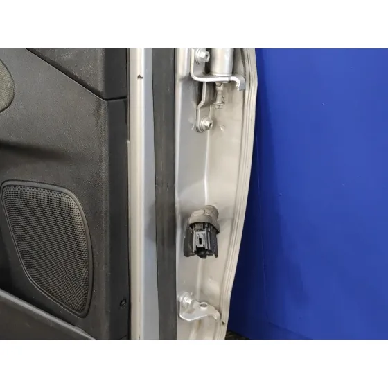 Puerta Trasera Izquierda para Ford S-Max (Ca1)
