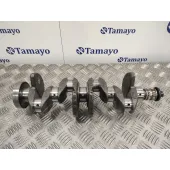 Ciguenal para Nissan Qashqai (J11)