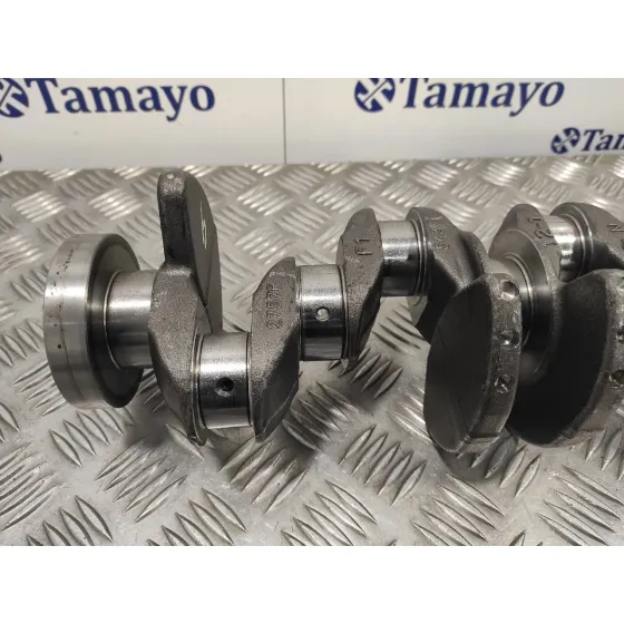 Ciguenal para Nissan Qashqai (J11)