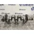 Ciguenal para Nissan Qashqai (J11)