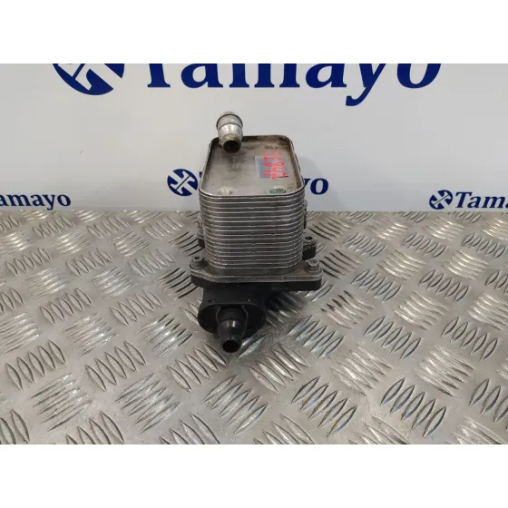 Enfriador Aceite Motor para Bmw X3 (E83)