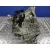 Caja Cambios para Renault Megane Iii Berlina 5 P