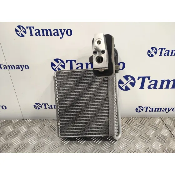 Evaporador Aire Acondicionado para Ford Transit Connect