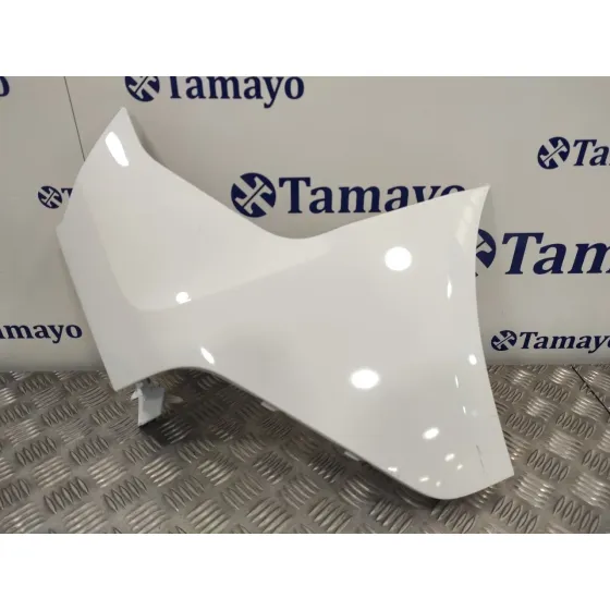 Puntera Paragolpes Trasera Derecha para Ford Transit Connect