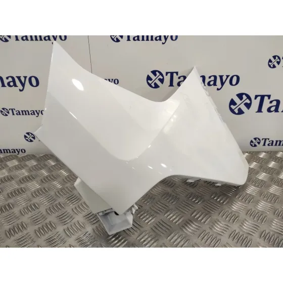 Puntera Paragolpes Trasera Derecha para Ford Transit Connect