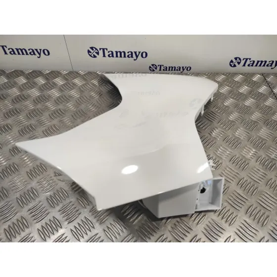 Puntera Paragolpes Trasera Derecha para Ford Transit Connect