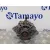 Alternador para Subaru Forester S11 (Sg)