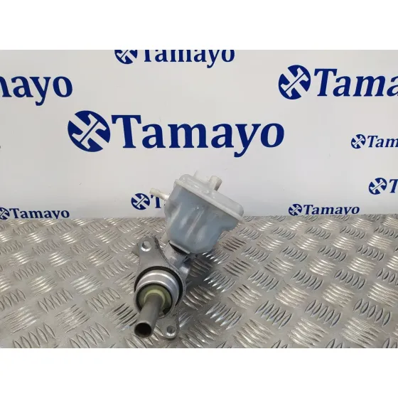 Bomba Freno para Renault Trafic Caja Cerrada (Ab 4.01)