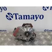Bomba Inyeccion para Renault Scenic Ii