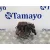 Bomba Inyeccion para Renault Scenic Ii