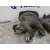 Colector Admision para Renault Scenic Ii