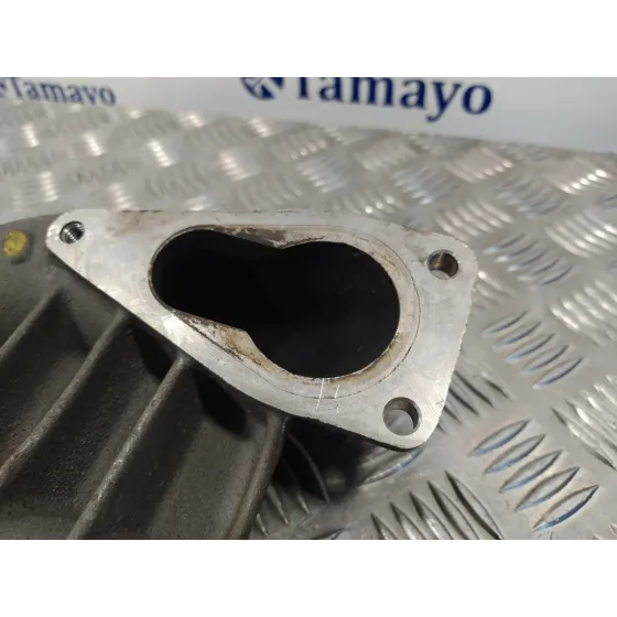 Colector Admision para Renault Scenic Ii