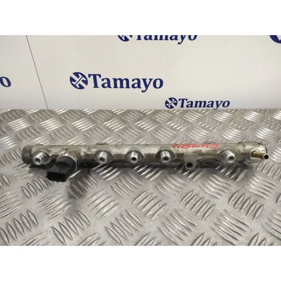 Rampa Inyectora para Renault Scenic Ii