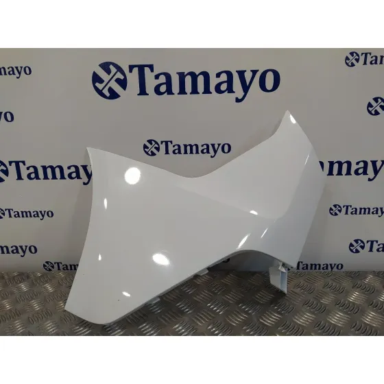 Puntera Paragolpes Trasera Izquierda para Ford Transit Connect