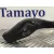 Mando Intermitentes para Ford Transit Connect