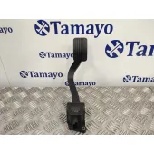 Potenciometro Pedal para Citroën C4 Grand Picasso