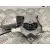 Elevalunas Delantero Derecho para Nissan Pathfinder (R51)