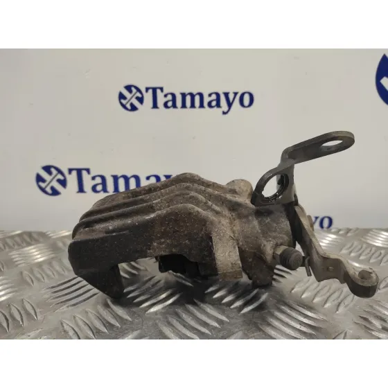 Pinza Freno Trasera Izquierda para Seat Leon (1P1)