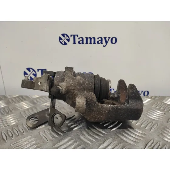 Pinza Freno Trasera Izquierda para Seat Leon (1P1)