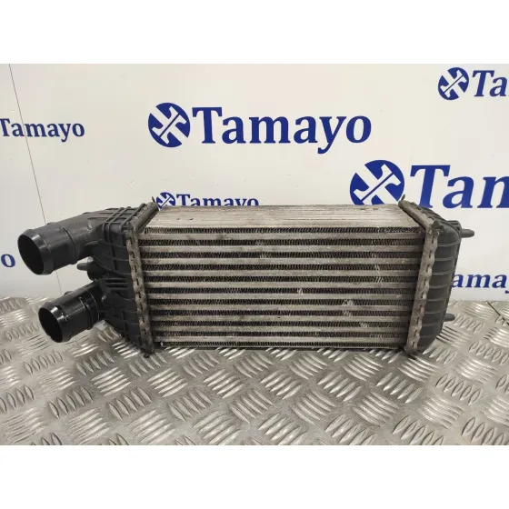Intercooler para Citroën C3