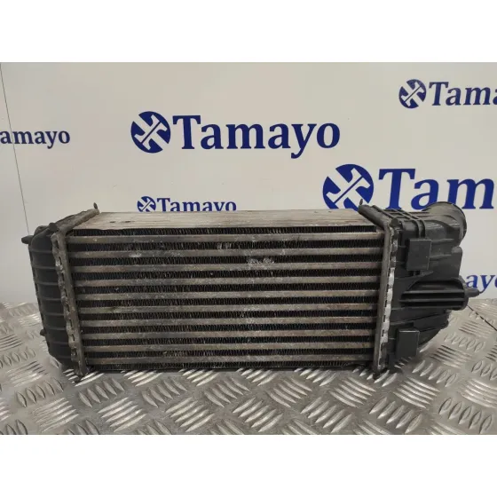 Intercooler para Citroën C3